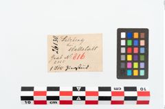 Etikett zu Bronzefibel (NHMW-PRAE-026130)